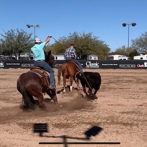 Meet your Posher, Callie